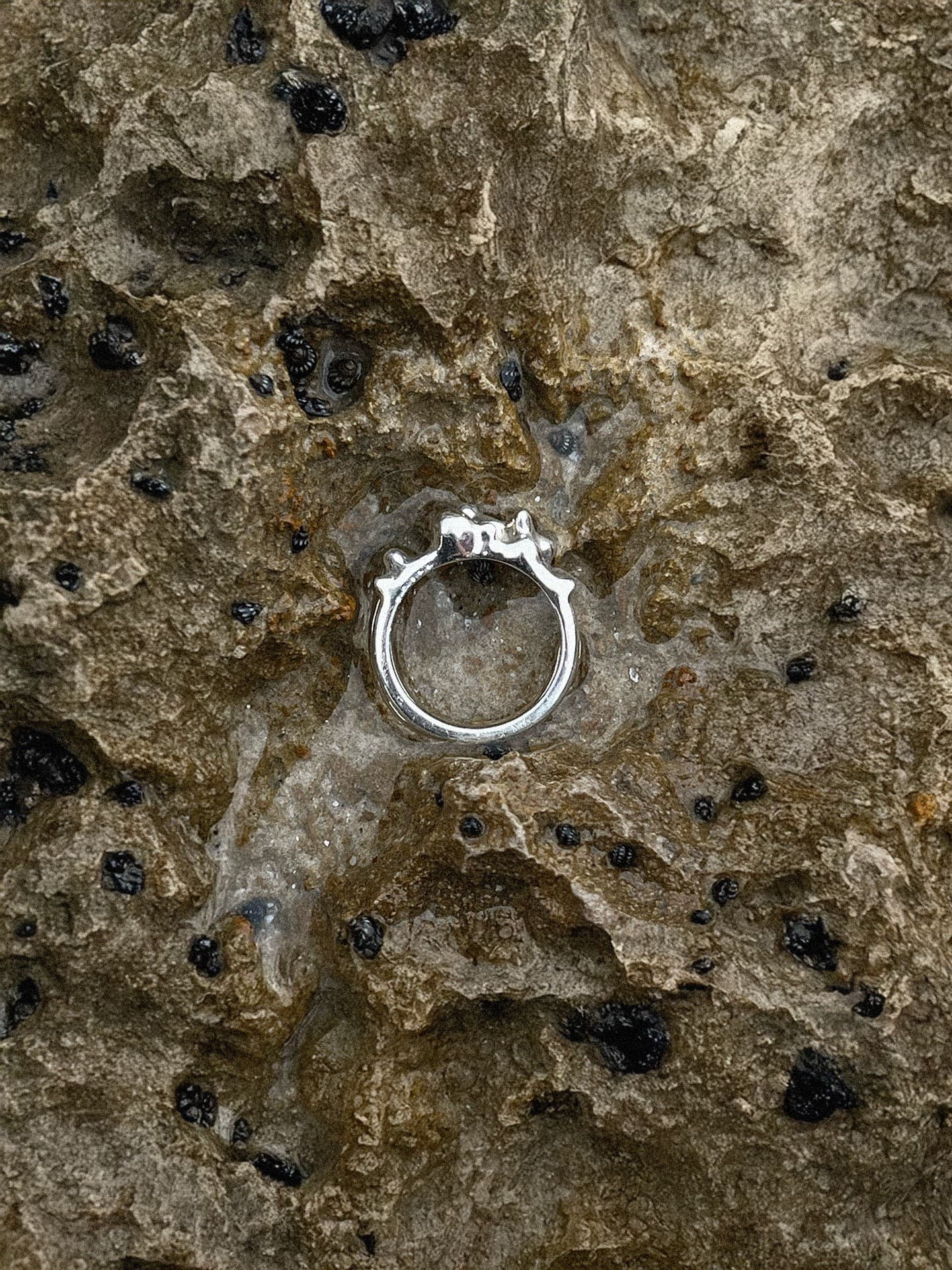 Settlement pinky ring - image 1