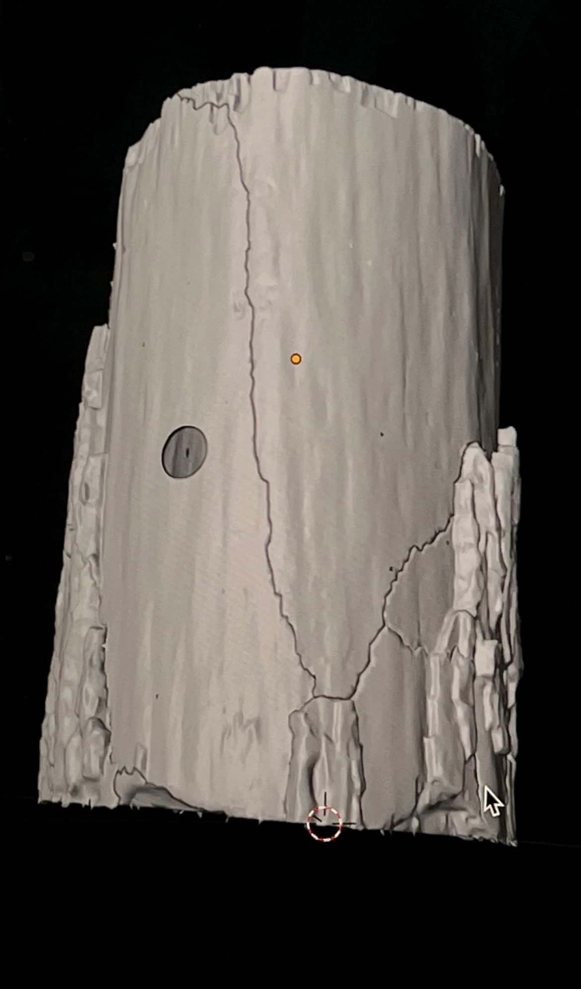 A scanned studio form in the modeling view