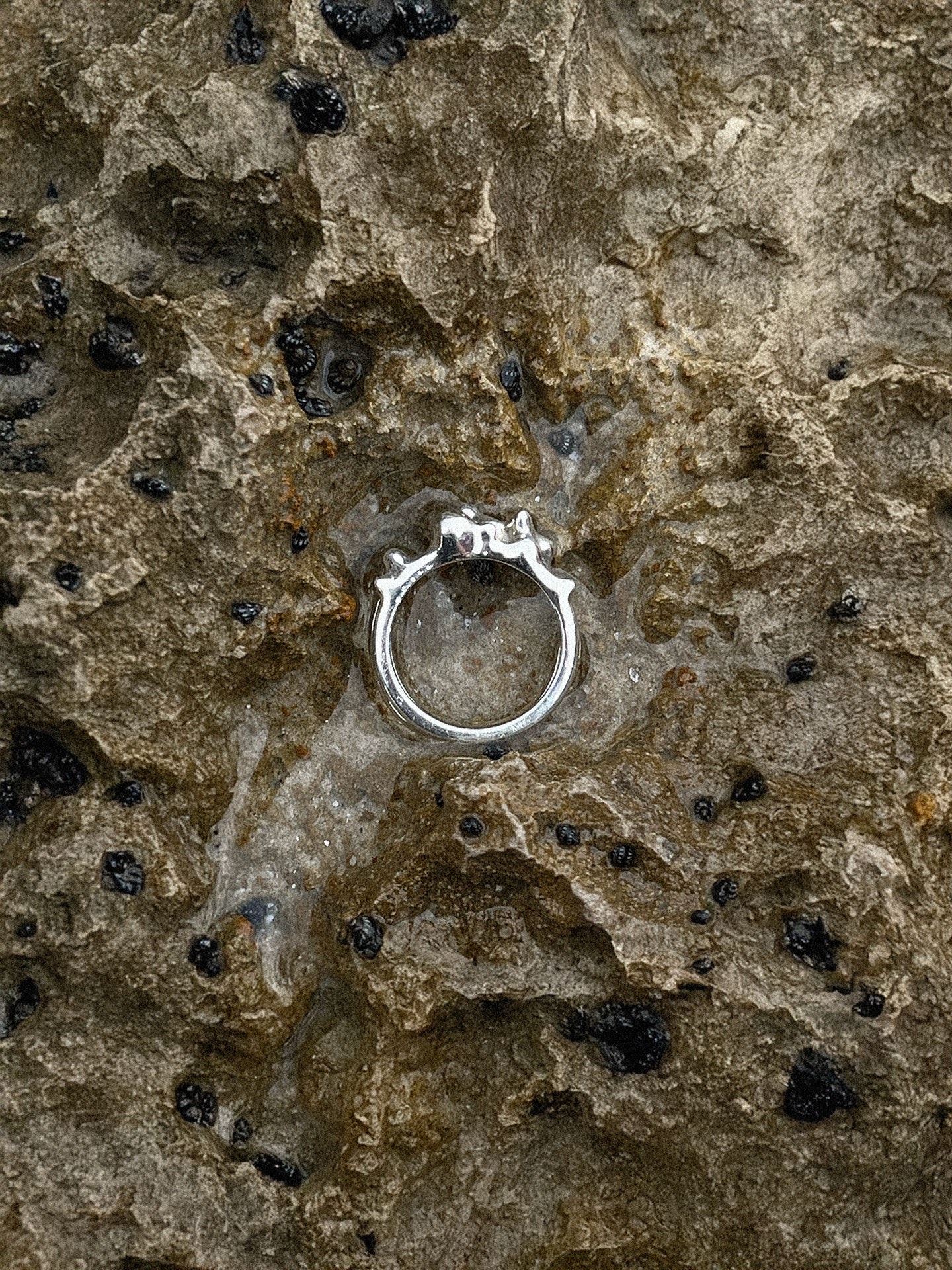 A forthcoming AURA collection of handmade silver jewelry by Kate Andersen, lost-wax cast in 925 silver, releasing fall 2026. Inspired by growth in the water column — a balance of fate and choice. Small batch release from Florida.