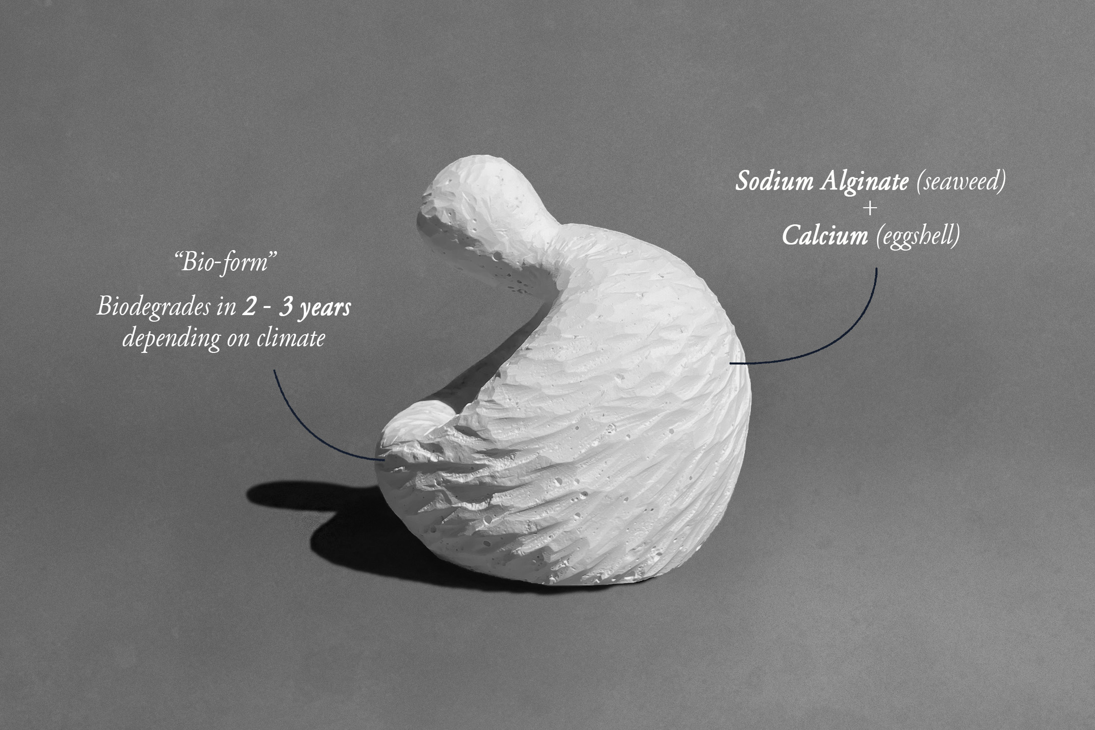 VESSELS - detail