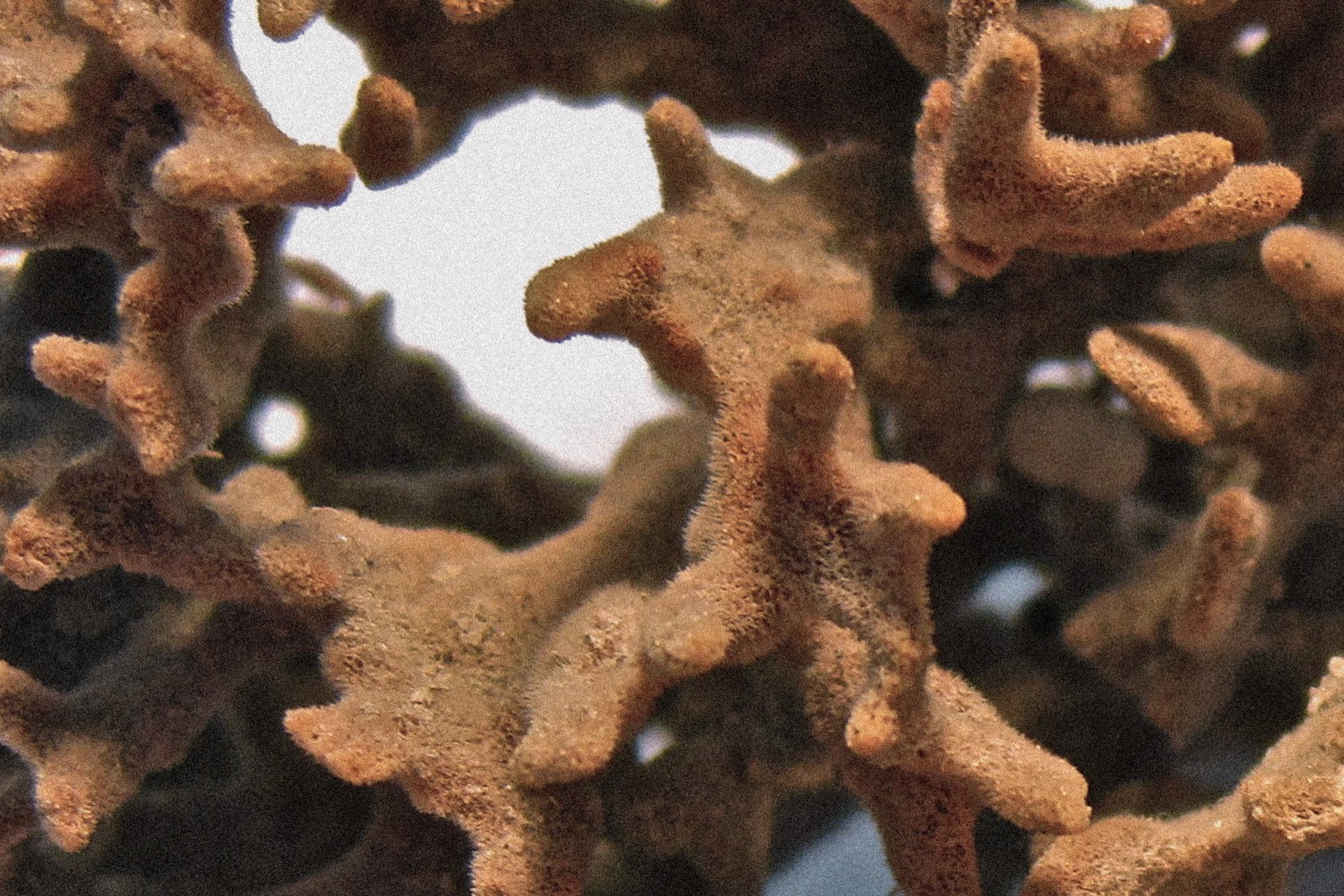 VESSELS - detail